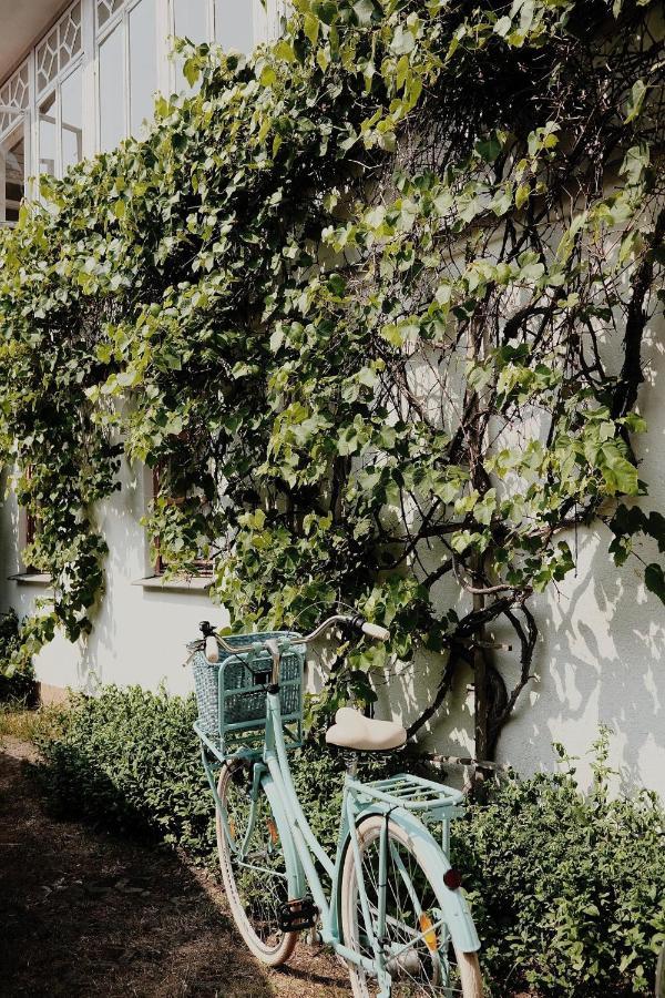 Vila Silelis Palanga Bagian luar foto